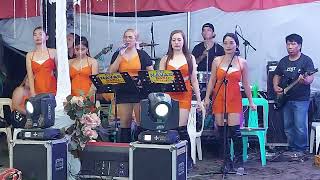 Love song cover Cynthia  Santor Delfin Albano Isabela CTJ NAVAS BAND  09168442301 [upl. by Assiren]