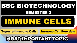 BSc Biotechnology  Semester 3  Immune Cells  Types of Immune Cells  Immune Cell Function [upl. by Jacquie475]