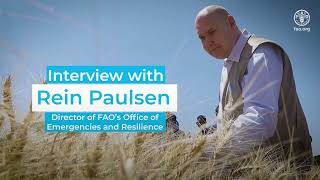 FAO in Emergencies  Rein Paulsen Director of FAOs Office of Emergencies and Resilience [upl. by Fricke]