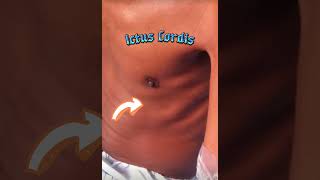 Íctus Cordis  Semiologia cardiopulmonar  Prof Felipe Barros medicina  cardio shorts [upl. by Ofori]