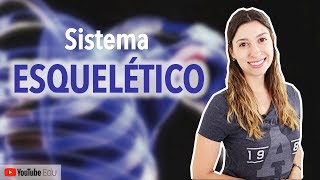 Sistema Esquelético 15 Introdução  Anatomia e etc [upl. by Archie]