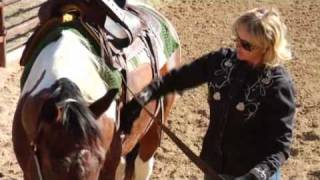 What is the Proper Way to Cinch a Saddle [upl. by Nerfe]