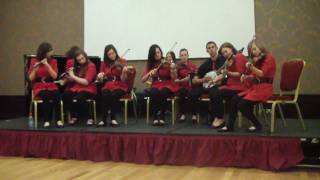 Ratheniska u18 Ceili Band Leinster Fleadh Portlaoise  2011MP4 [upl. by Merrel885]