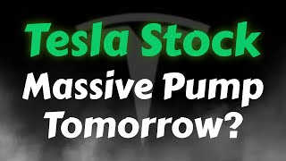 Tesla Stock Analysis  New Support Level Confirmed Tesla Stock Price Prediction [upl. by Cummings]