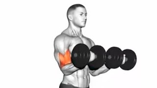 10 Best Dumbbell Exercises For Building Muscle At Home [upl. by Aivekahs]