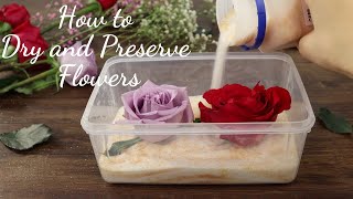 How to Dry and Preserve Flowers  DIY Dried Flower in Resin Art [upl. by Ayinat]