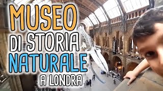 Visita al Museo di Storia Naturale di Londra  London Natural History Museum [upl. by Aufa61]