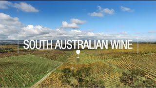 South Australian wine 2024 [upl. by Vikky]