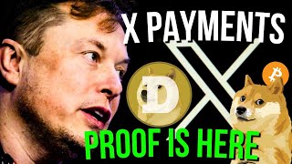 DOGECOIN amp BTICOIN NEWS NOW XPAYMENTS PROOF [upl. by Hansiain]