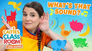 Whats That Sound  Caities Classroom SingAlong Show  Fun Listening Songs For Kids [upl. by Erdah]