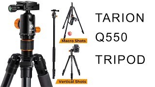 Gear Review  Tarion Q550 Tripod [upl. by Zaneski410]