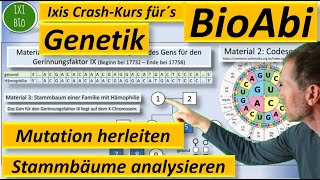 Genetik Anwendungsaufgabe AFB II Art der Mutation herleiten  Stammbaum analysieren  BioAbi 2023 [upl. by Eibor]