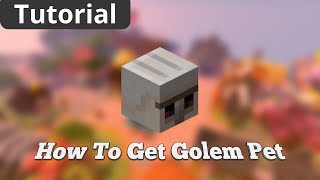 How To Get GOLEM Pet in Hypixel Skyblock [upl. by Lam]