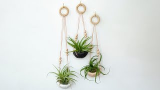 How to Make a Clay Air Plant Holder  Sunset [upl. by Mayes]