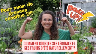 Comment booster ses fruits et ses légumes dété naturellement potager garden jardin [upl. by Kral]