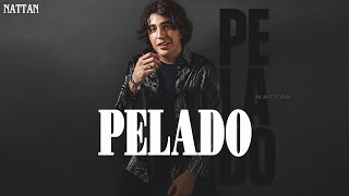 Letralyrics PELADO  NATTAN Clipe oficial  Músicas Mais Amadas As Mais Tocadas [upl. by Alinoel619]