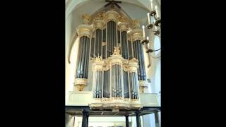 JS Bach  Pastorale in F BWV 590 Bram Brandemann organ [upl. by Brackely804]