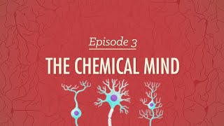 Biological Bases of Behavior Episode 3 intro to Psychology series psychology neuroscience brain [upl. by Kress]