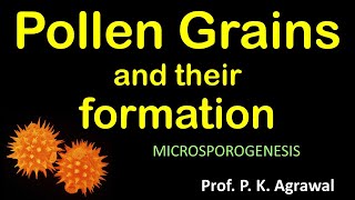 Pollen grain  microspore formation Reproduction in flowering plant  Class 12 Chapter 2 Video 4 [upl. by Annaili]