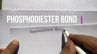 Phosphodiester Bond LectureUrdu Botany III for BS Zoology Botany Chemistry [upl. by Anirtruc]