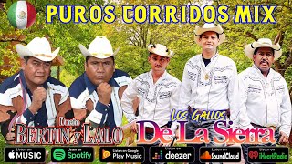 Dueto Bertin Y Lalo Y Los Gallos De La Sierra  Corridos Mix  Corridos Para Pistear Mix Viejitas [upl. by Yaker]