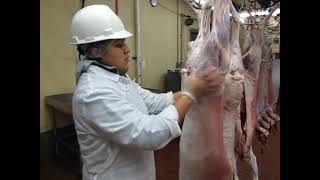 Postmortem Inspection of Goat Carcass [upl. by Morril]