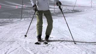 Harald Harb quotHow to Skiquot Series 1 Lesson 1 Beginning Parallel Skiing [upl. by Inatsed]