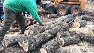 Supmix chainsaw 20 inch cutting up about 11 inch green white oak logs [upl. by Siryt]