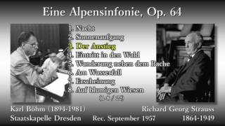 R Strauss Eine Alpensinfonie Böhm amp SKD 1957 R シュトラウス アルプス交響曲 ベーム [upl. by Repsaj834]