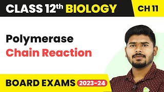 Polymerase Chain Reaction  Biotechnology Principles and Processes  Class 12 Biology 202223 [upl. by Retsel406]