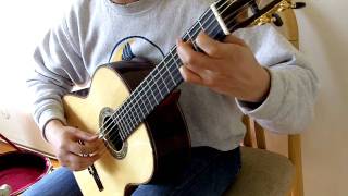 Matteo Carcassi 25 Estudios Op60 No19 in E Minor [upl. by Gaylene492]