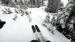 Dynastar M Free 99 at Marmot Basin [upl. by Aihsatsan935]