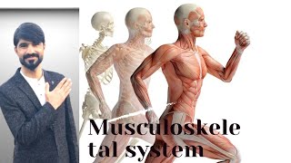 musculoskeletal system anatomy  bone components  bone cells  bone functions [upl. by Fina]