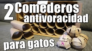 DIY 2 Comederos antivoracidad  ansiedad con rollos papel higiénico  Juguetes gatos  Peter Golop [upl. by Shaer]