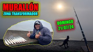 MURALLON RENDIDOR  PEJES A FULL  PESCA METAL [upl. by Nora762]