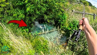 Fly Fishing Farm Fields for Trout Brook Trout Conservation  WV trout fishing [upl. by Darryn]