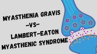 Myasthenia Gravis VS LambertEaton Myasthenic Syndrome [upl. by Samaria249]