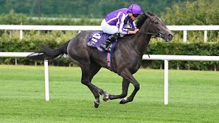 Potential star BEDTIME STORY comfortably maintains unbeaten record at Leopardstown [upl. by Leanatan]