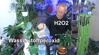 H2O2 Wasserstoffperoxid für Pflanzen nutzen Hydrokultur Hydroponik und Substrat Der Test Anfang [upl. by Steere916]