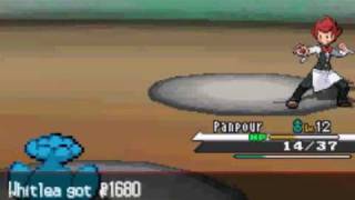 Pokemon White Walkthrough Part 04 Striaton Gym and the Trio Badge [upl. by Elumas916]