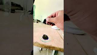 Capillary action mjdchemistry experiment short knowledge [upl. by Anehta]