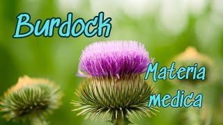 Materia Medica of Burdock [upl. by Elleynad218]