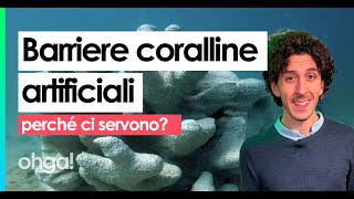 Perché ci servono le barriere coralline artificiali [upl. by Lanza46]