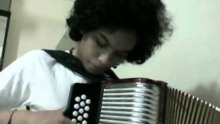 La Noyee  Cover accodion  Mulett Yann Tiersen  Amelie [upl. by Hgieliak]