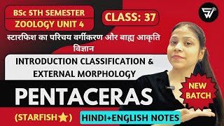 Introduction Classification amp Morphology of PENTACEROS starfish⭐  Mollusca to Hemichordata [upl. by Nerissa642]