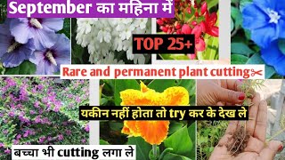 TOP 25 Rare plants cutting September month growing plants [upl. by Acirretahs]