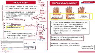 FIBROMIALGÍA  FENÓMENO DE RAYNAUD  MIOPATÍAS INFLAMATORIAS REUMATOLOGIA  ENAM 2020 [upl. by Eisyak]