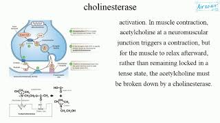 cholinesterase [upl. by Livia224]