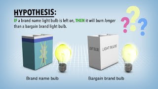 Biology Independent vs Dependent Variables [upl. by Lacy]