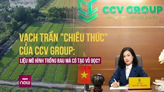 Huy động vốn đầu tư trồng rau má Vạch trần quotchiêu thứcquot của CCV Group  VTC Now [upl. by Nelyag]